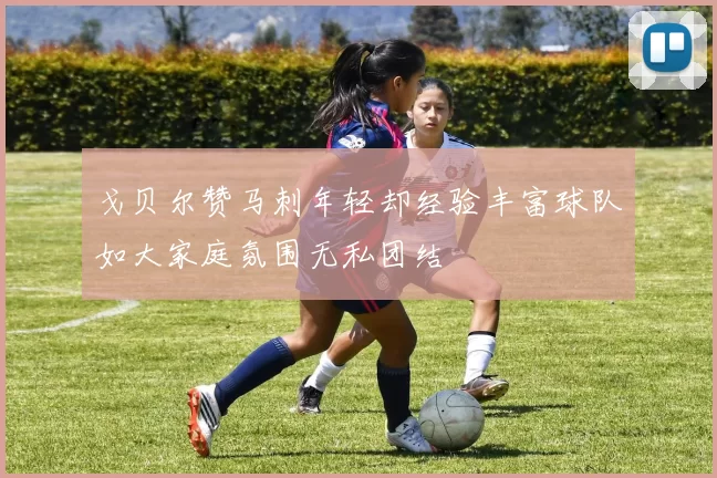 戈贝尔赞马刺年轻却经验丰富球队如大家庭氛围无私团结